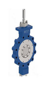 Butterfly Control Valve